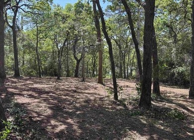 Set high within the coveted Hideaway Lake community, this - photo 2