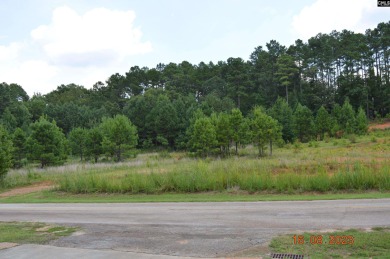Reduced!!! Main Channel views/Custom-built brick home! - photo 41