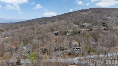 Welcome to your mountain retreat at 202 Tamarack Road! This - photo 46