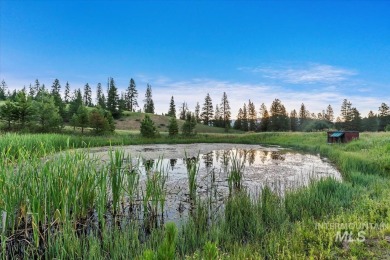 Lake Acreage For Sale in Idaho City, Idaho