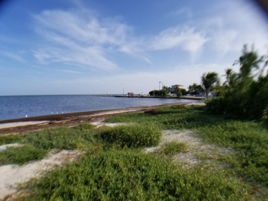 100 x 717 ft lot approximately 1.66 acres ocean front with real - photo 2