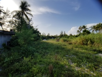 100 x 717 ft lot approximately 1.66 acres ocean front with real - photo 7