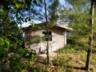 100 x 717 ft lot approximately 1.66 acres ocean front with real - photo 9
