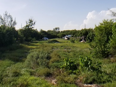 100 x 717 ft lot approximately 1.66 acres ocean front with real - photo 10