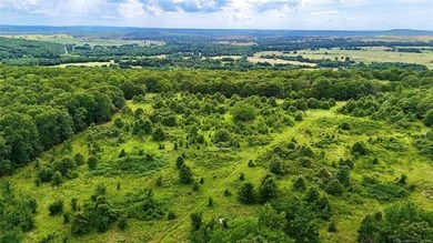 30 Acres of Secluded Oklahoma Paradise! Discover the perfect - photo 11