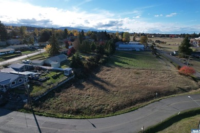 Prime development opportunity in Sequim! The Bradley Ridge - photo 11