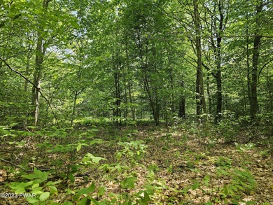 Calling all nature enthusiasts! Discover an extraordinary real - photo 11