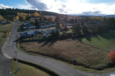 Prime development opportunity in Sequim! The Bradley Ridge - photo 13