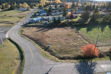 Prime development opportunity in Sequim! The Bradley Ridge - photo 15