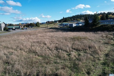 Prime development opportunity in Sequim! The Bradley Ridge - photo 21