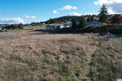 Prime development opportunity in Sequim! The Bradley Ridge - photo 22