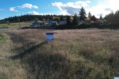Prime development opportunity in Sequim! The Bradley Ridge - photo 23