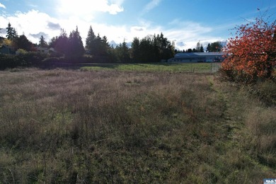 Prime development opportunity in Sequim! The Bradley Ridge - photo 24
