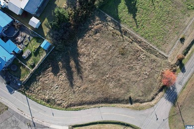 Prime development opportunity in Sequim! The Bradley Ridge - photo 25