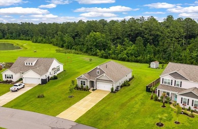 (private lake, pond, coastal) Home For Sale in Huger South Carolina