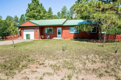 Lake Pagosa Home For Sale in Pagosa Springs Colorado