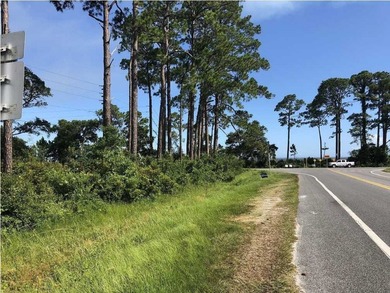 PRIME BAYFRONT COMMERCIAL CORNER on Highway 98 & Highway 65! - photo 4
