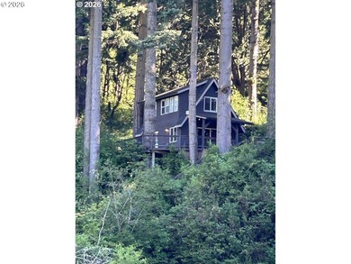 Gorgeous private lake retreat located 4 minute boat ride from - photo 1