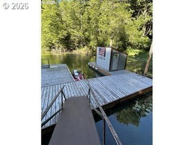 Gorgeous private lake retreat located 4 minute boat ride from - photo 3