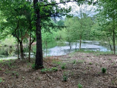 Lake Cypress Springs Acreage For Sale in Scroggins Texas
