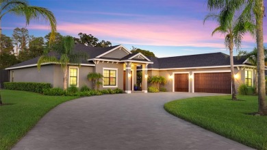 Lake Home Sale Pending in Odessa, Florida