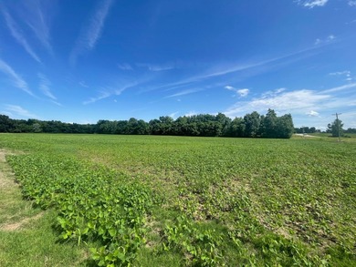 (private lake, pond, coastal) Acreage For Sale in Bloomfield Missouri