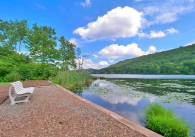 Kittatinny Lake Home For Sale in Sandyston Township New Jersey