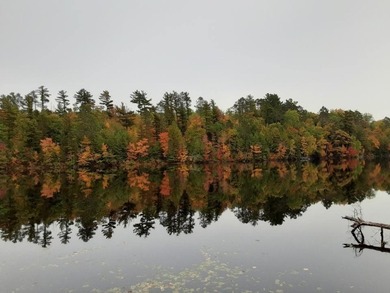 Looking for something quiet, peaceful, and serene? This - photo 8