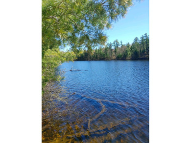 Looking for something quiet, peaceful, and serene? This - photo 10