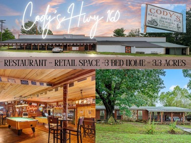 Bull Shoals Lake Commercial For Sale in Theodosia Missouri