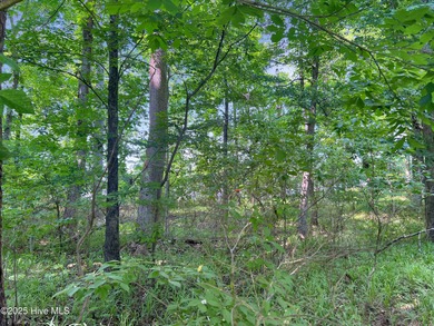 Yeopim River / Bethel Creek  Lot For Sale in Edenton North Carolina