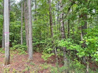 Cole Reservoir Lot For Sale in Locust Grove Georgia