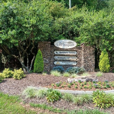 Lake Home For Sale in Ellijay, Georgia
