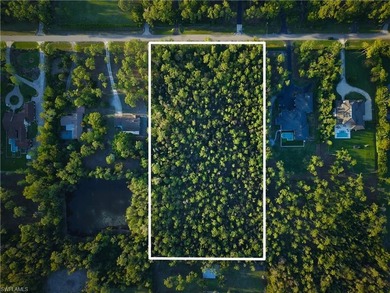 One of the last remaining undeveloped estate lots in the - photo 1