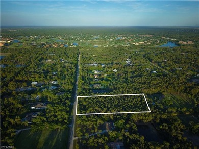 One of the last remaining undeveloped estate lots in the - photo 4