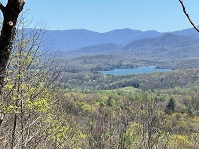 (private lake, pond, creek) Lot For Sale in Hayesville North Carolina