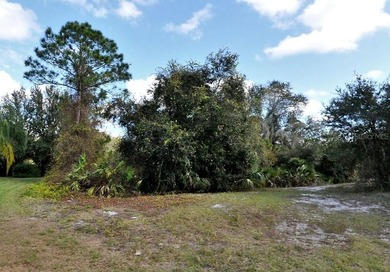 Lovely, almost half acre, oversized lot, larger than two - photo 3