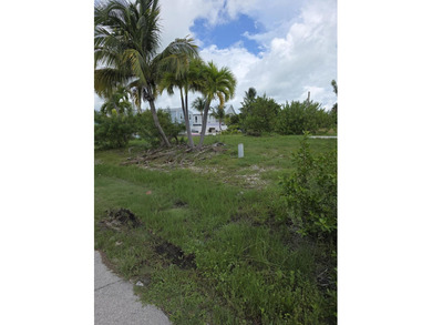 *****ROGO EXEMPT LOT ***** Corner Lot on Swimming Canal - ROGO - photo 3