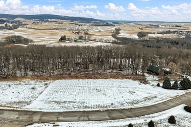 Silver Lake - Columbia County Acreage For Sale in Portage Wisconsin