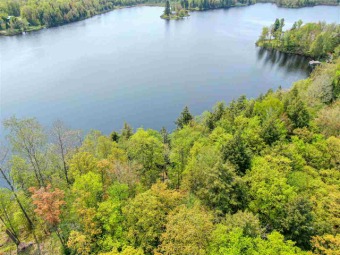 Chaney Lake Lot For Sale in Bessemer Michigan