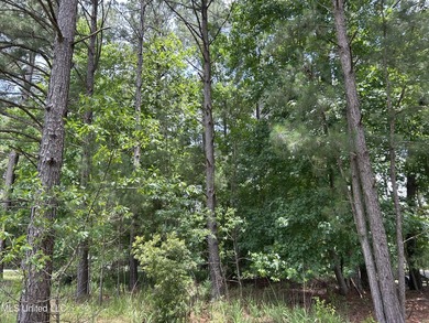 Escape to the serenity of nature with this 0.38-acre lot in the - photo 4