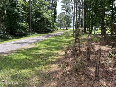 Escape to the serenity of nature with this 0.38-acre lot in the - photo 5
