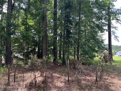 Escape to the serenity of nature with this 0.38-acre lot in the - photo 6