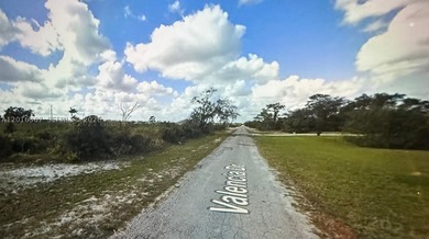 Build Your Dream Home on Valencia Drive in Indian Lake Estates - photo 8