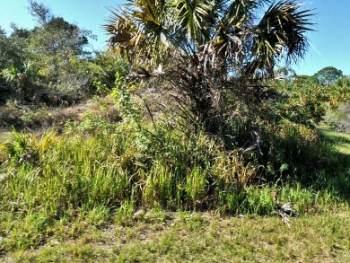 Northport Waterway Lakes and Canals Lot For Sale in North Port Florida
