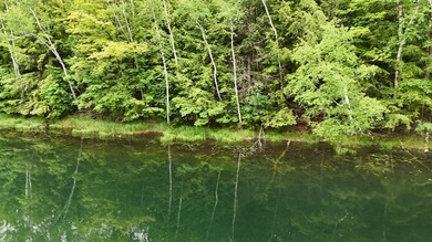 Lake Buteau Lot For Sale in Gleason Wisconsin