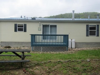 Discover the charm of mountain living in the picturesque borough - photo 29
