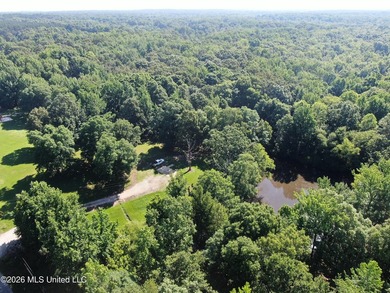 The Little Coldwater 50 acres has a little bit of everything! - photo 11