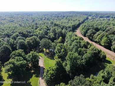 The Little Coldwater 50 acres has a little bit of everything! - photo 12