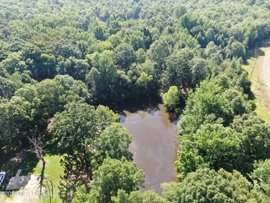 The Little Coldwater 50 acres has a little bit of everything! - photo 13